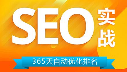 上海seo優(yōu)化實(shí)戰(zhàn)班