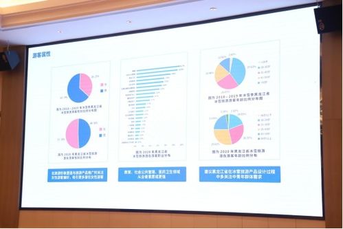 黑龍江冰雪旅游產(chǎn)業(yè)發(fā)展指數(shù)暨2021冬季旅游產(chǎn)品發(fā)布會(huì)在福州舉行