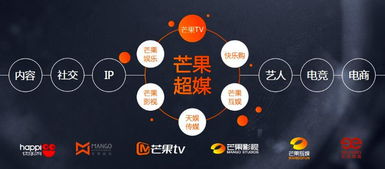 梳理35家上市文娛公司經營數據,發現了這些現象和啟示